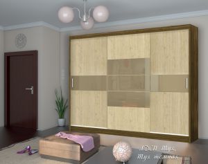 Шкаф купе Эконом-10